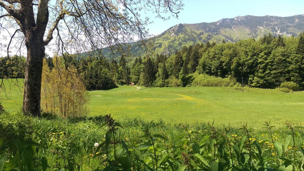Casa Camilla Holiday Folgaria Eksteriør bilde